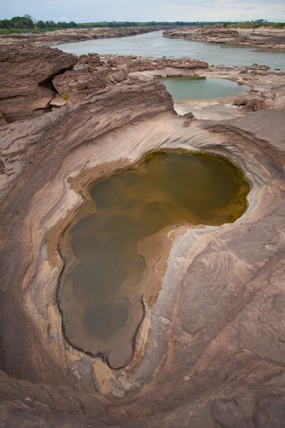 Sampanbok — Stok fotoğraf