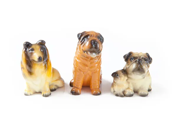 Three toy dog isolated — Stock Photo, Image