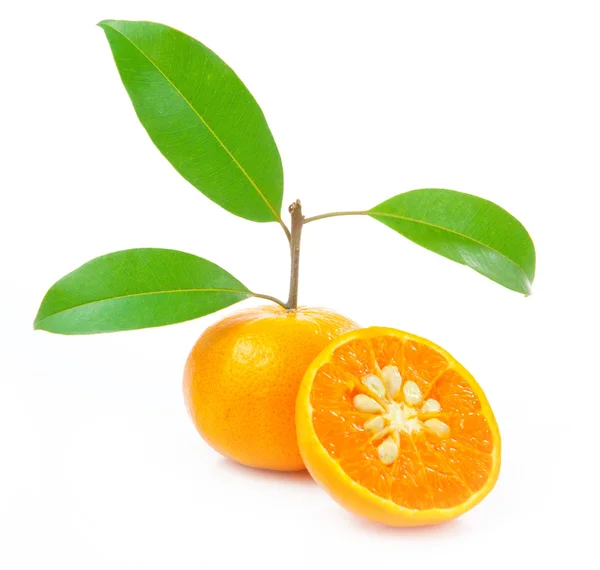 Orange isolerade — Stockfoto