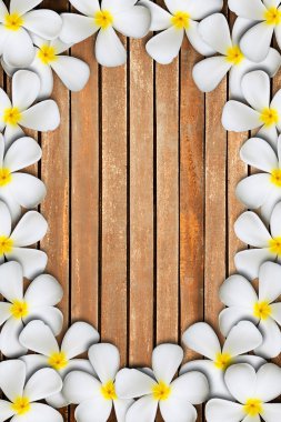 Plumeria çiçek çerçeve