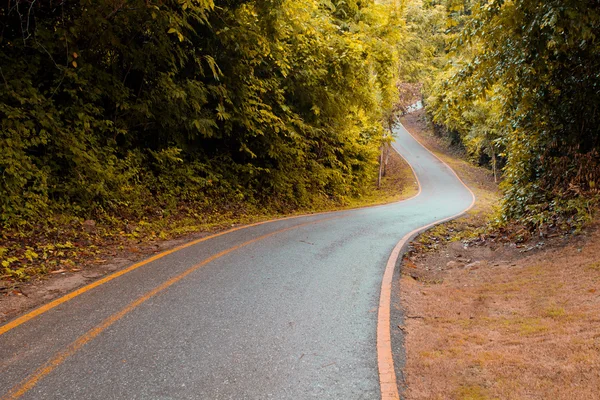 Kıvrımlı bir yol — Stok fotoğraf