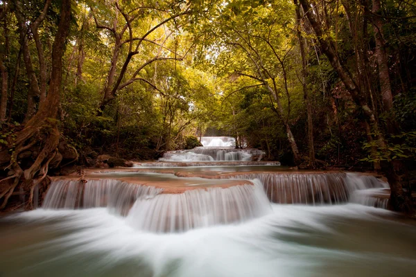 Forest Waterfall — Stock Photo, Image