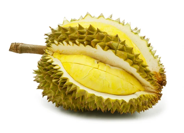 Durian isolerade — Stockfoto