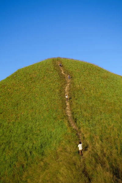 In mountains — Stock Photo, Image