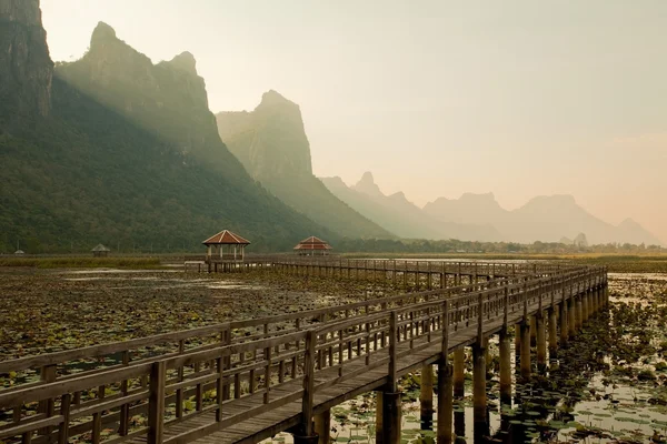 Footbridge in lake — Stock Photo, Image