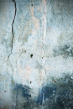 Beton duvara yapışmış