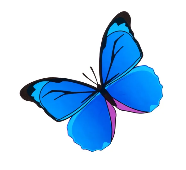 Paint watercolor butterfly — Stock Photo, Image