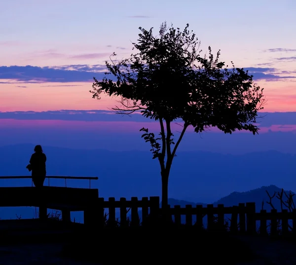 Silhouette of girl — Stock Photo, Image