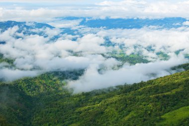 dağ yeşil çimen tarafından