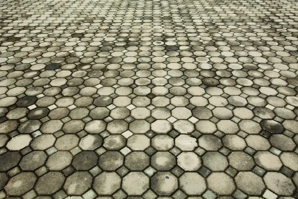 Brick pavement — Stock Photo, Image