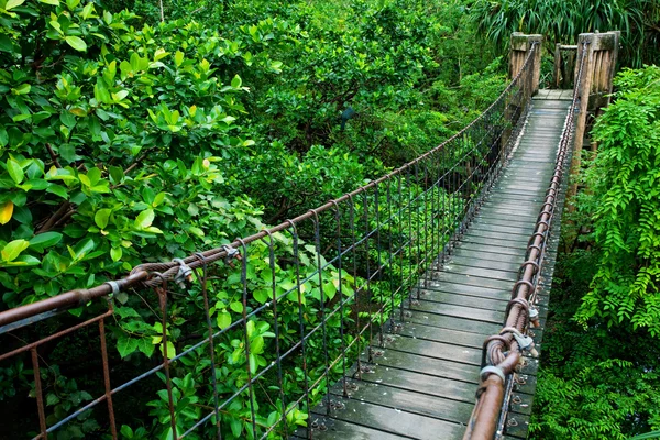 Rope walkway through — Stock Photo, Image