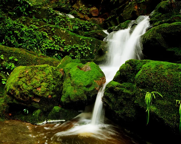 Djupa skogen vattenfall — Stockfoto