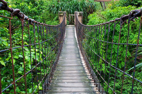 Rope walkway through