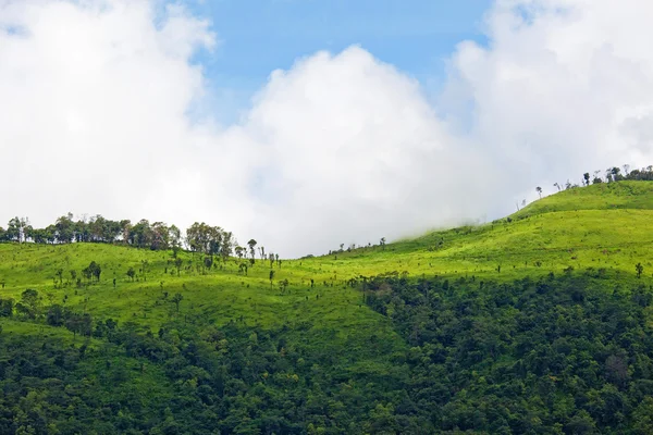 Berg — Stockfoto