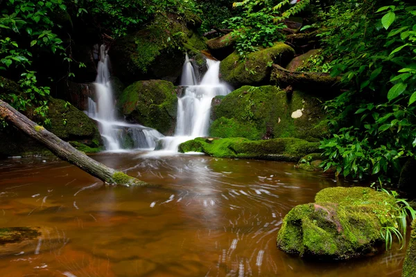 Vodopád v hlubokém lese — Stock fotografie