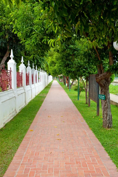 Walkway in garden — Stock Photo, Image