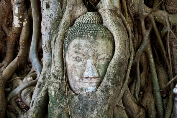 Kopf des Sandstein-Buddhas — Stockfoto