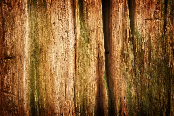 Holzmuster — Stockfoto