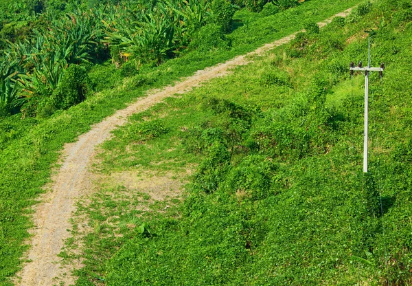 Grindweg — Stockfoto