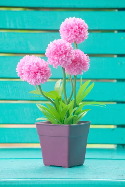 Pink flower in pot — Stock Photo, Image