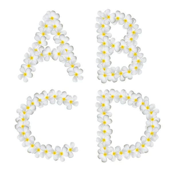 Plumeria alphabet isolated — Stock Photo, Image