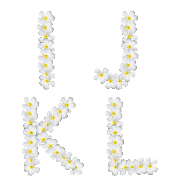 Plumeria alphabet isolated — Stock Photo, Image