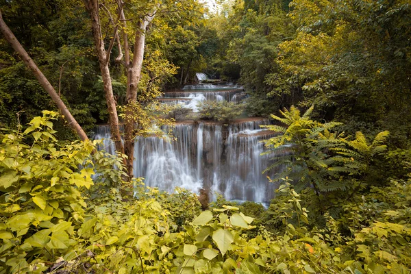 Lesní vodopád — Stock fotografie