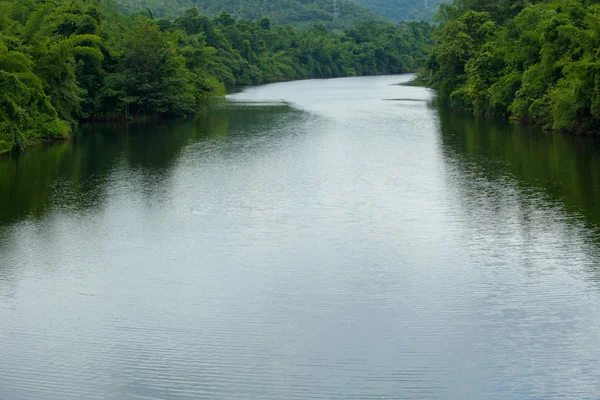 Fluss und Wald — Stockfoto