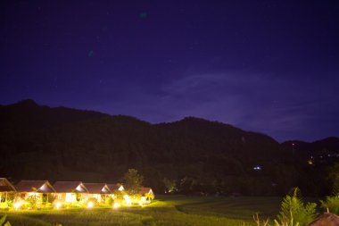 yeşil alan ile köy