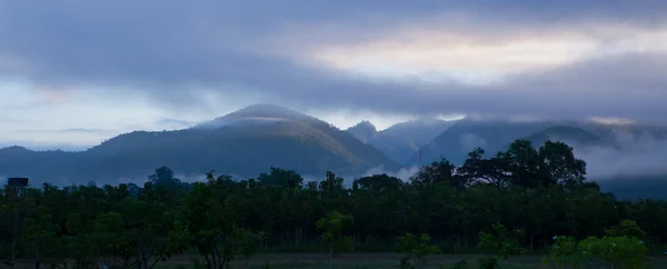 Mañana niebla cubierta montaña —  Fotos de Stock