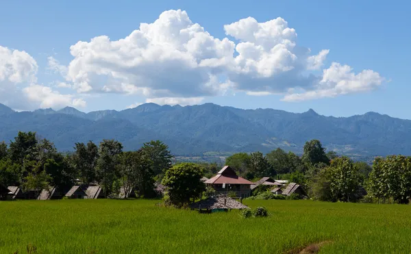 Desa dengan bidang hijau — Stok Foto