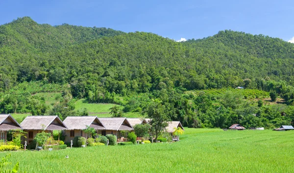 Village with green field — Stock Photo, Image