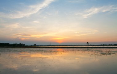 Yaz toprak ve mavi gökyüzü