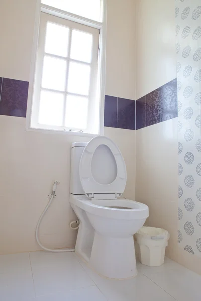 Home flush toilet — Stock Photo, Image