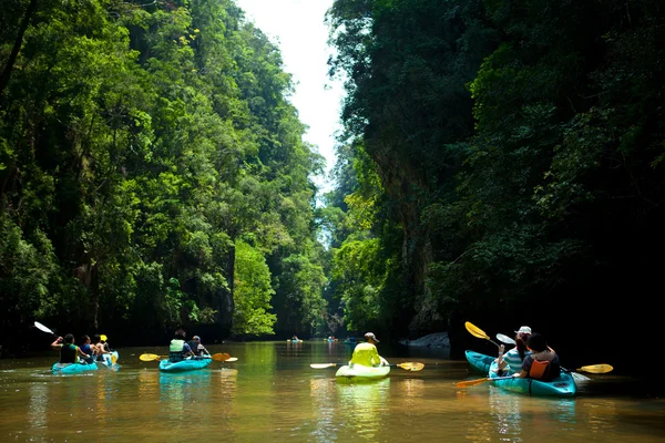 Kayaklar — Stok fotoğraf