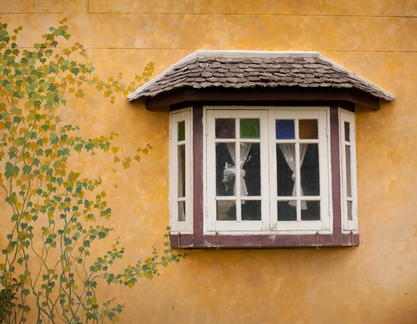 Ściany pokryte farbą liści — Zdjęcie stockowe