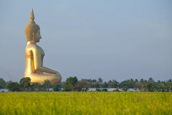 Grande statua di Buddha — Foto Stock