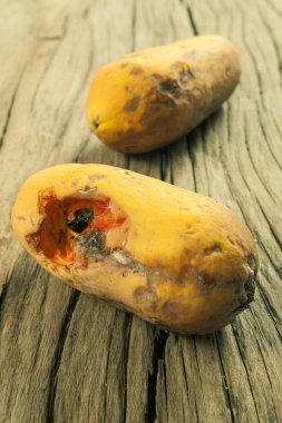 küflü papaya meyve ahşap zemin üzerinde