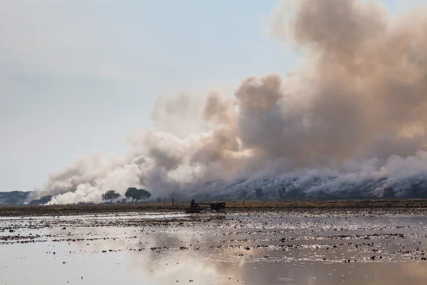 煙の燃焼ガベージ ヒープ — ストック写真