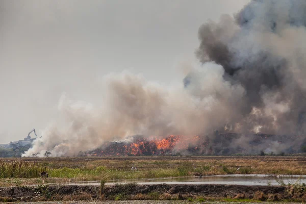 Bruciare cumulo di spazzatura di fumo — Foto Stock