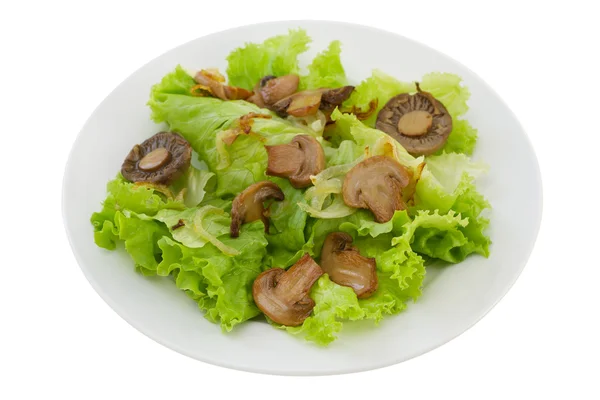 Salat mit gebratenem Champignon auf dem Teller — Stockfoto