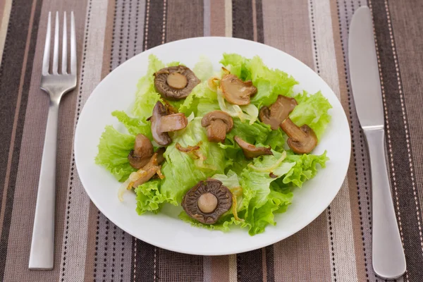 Salade met gebakken champignon op de plaat — Stockfoto