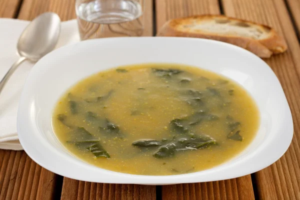 Sopa de verduras con perejil — Foto de Stock