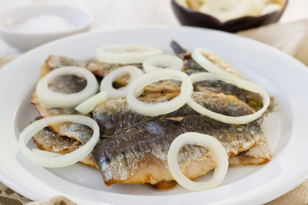 Filé frito de sardinhas com cebola — Fotografia de Stock