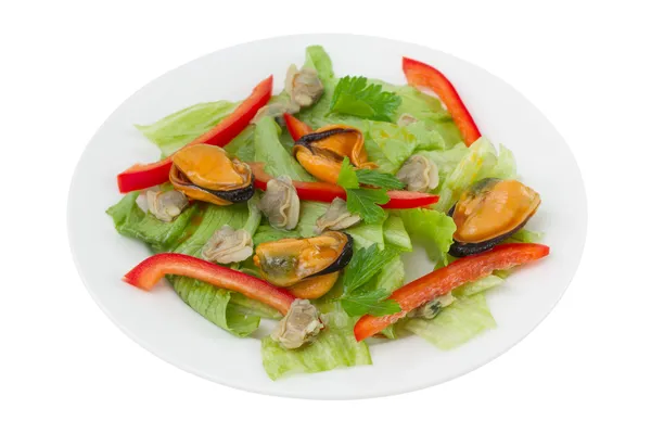 Salade de fruits de mer sur fond blanc — Photo