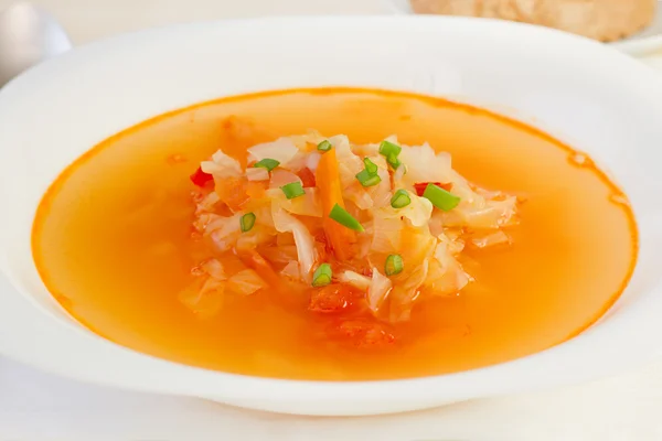 Zuppa di verdure sul piatto bianco — Foto Stock