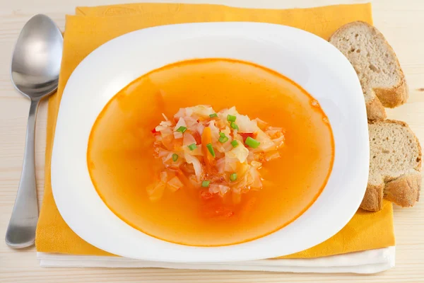 Gemüsesuppe auf dem weißen Teller — Stockfoto