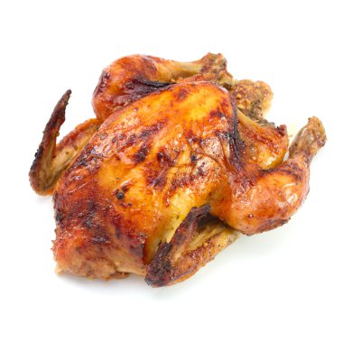 Beyaz arkaplanda tavuk