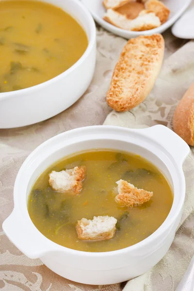 Vegetable soup in the bowl with toasts — Stock Photo, Image