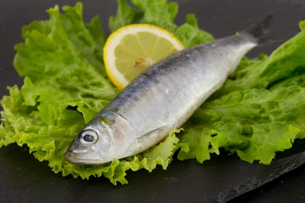 Fresh sardine on lettuce with lemon — Stock Photo, Image